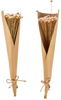 CASA ACTINO Fleurs Séchées Rose* Fleurs Artificielles