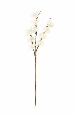 CASA ADDO Vase Crème* Vases