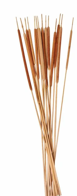 CASA AFRIKA Vase Naturel* Vases