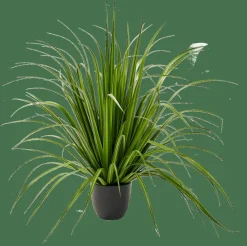 CASA ALLIUM Herbe Ornementale Vert* Plantes Artificielles