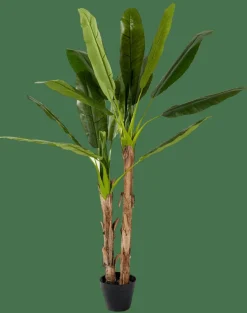 CASA BANANA Bananier Vert* Plantes Artificielles