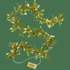 CASA BLATTE Guirlande Lumineuse Vert* Guirlandes Lumineuses