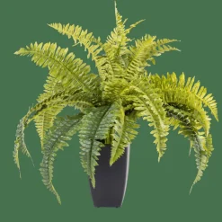CASA BOSTON Fougère Vert* Plantes Artificielles