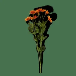 CASA INDI Orange* Fleurs Artificielles|Automne