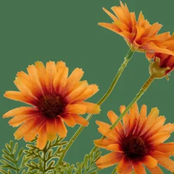 CASA INDI Orange* Fleurs Artificielles|Automne