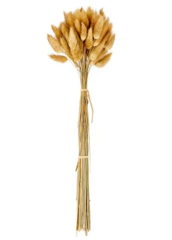 CASA JULIA Vase Brun* Vases|Automne