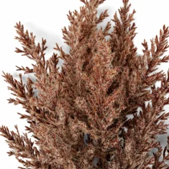 CASA JULIA Vase Brun* Vases|Automne