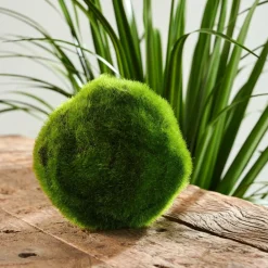 CASA MOSS Boule De Mousse Vert* Plantes Artificielles