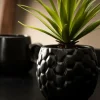 CASA PINA Plante D'ananas En Pot Noir* Plantes Artificielles