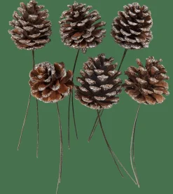 CASA PINECONE Pommes De Pin Set De 6 2 Couleurs Blanc, Argent* Automne