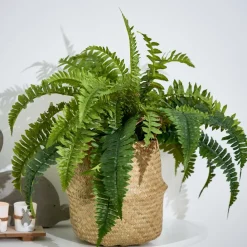 CASA STRIPE Pot à Suspendre Naturel* Porte-Plantes À Suspendre